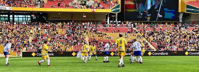 世界最冷马 世界最冷马