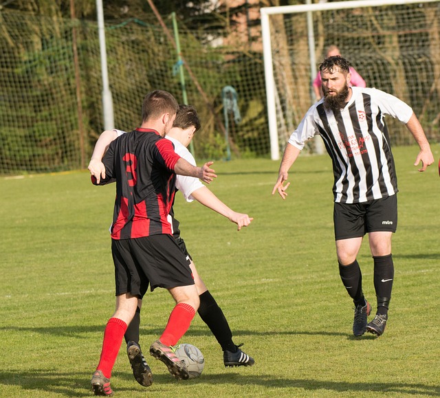 遗产保护传 遗产保护传