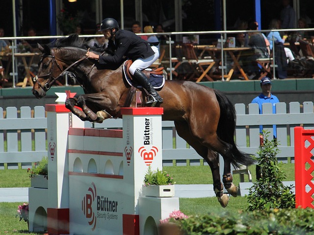 布羅亞如何 布羅亞如何